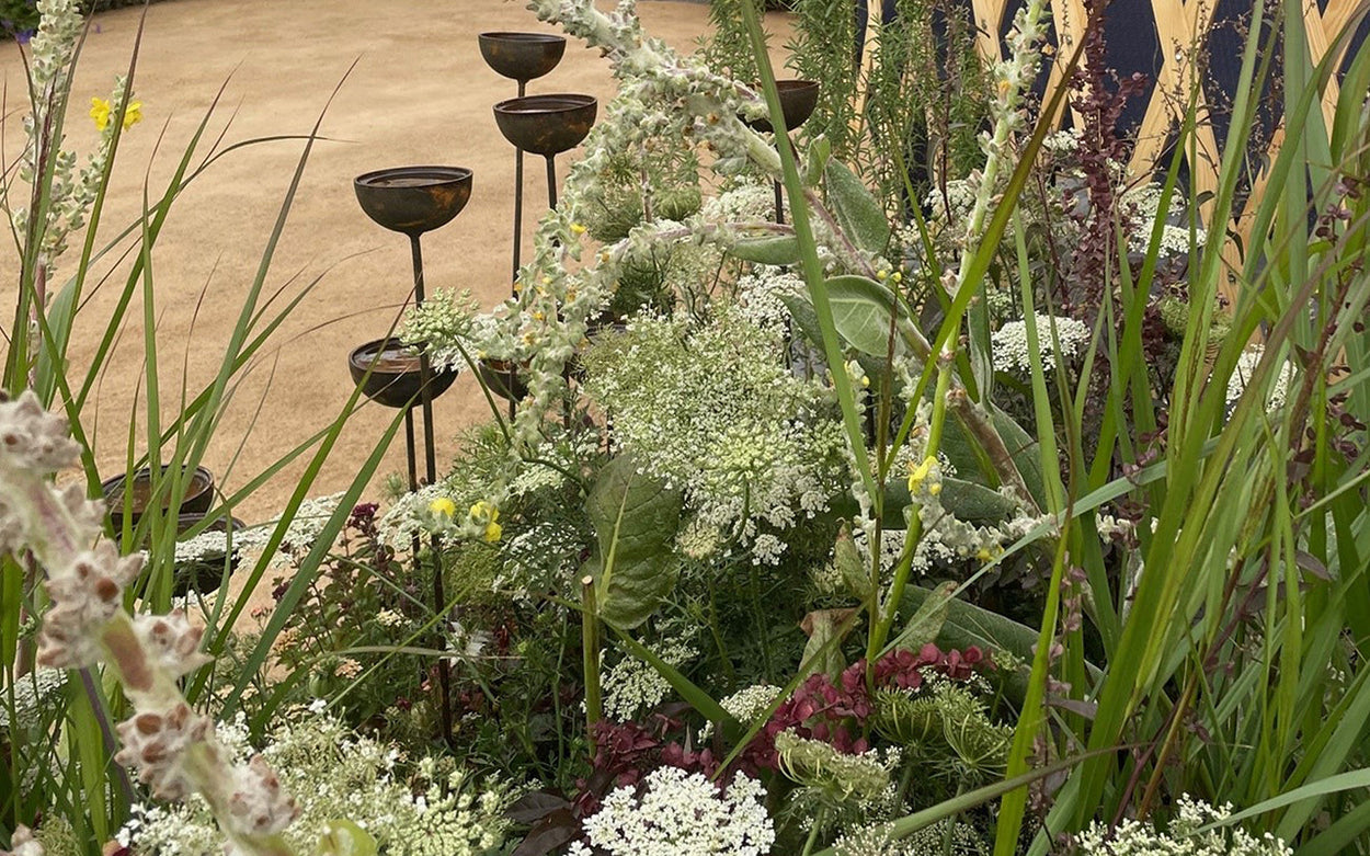 Part of the RNIB Legacy garden with tactile, high contrast planting and metal sculptures