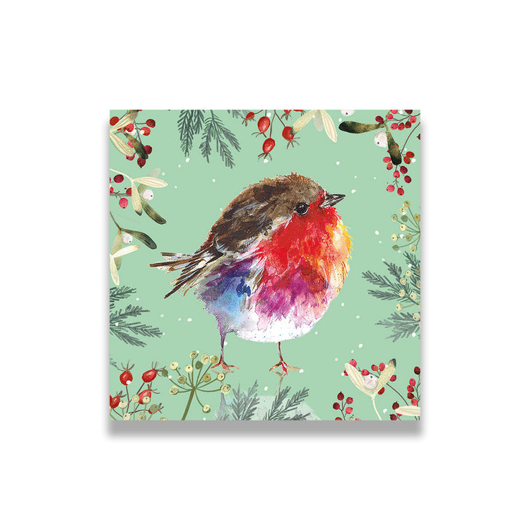 Robin charity Christmas card (pack of 10)