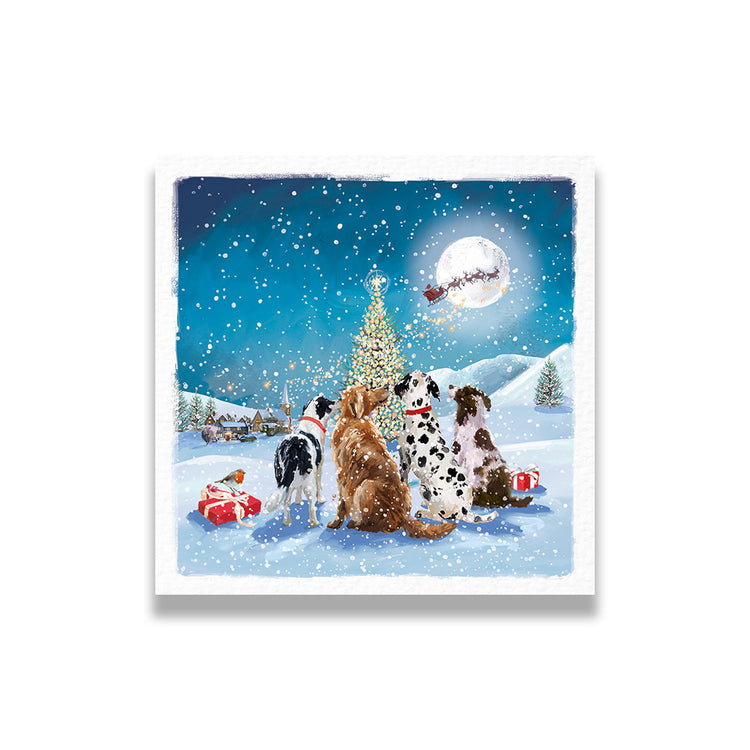 Dogs around the tree charity Christmas card (pack of 10)