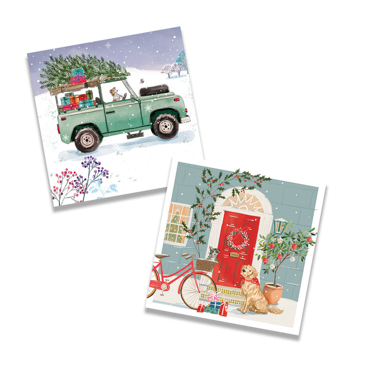 Dogs Christmas-ready charity Christmas cards (mixed pack of 10)