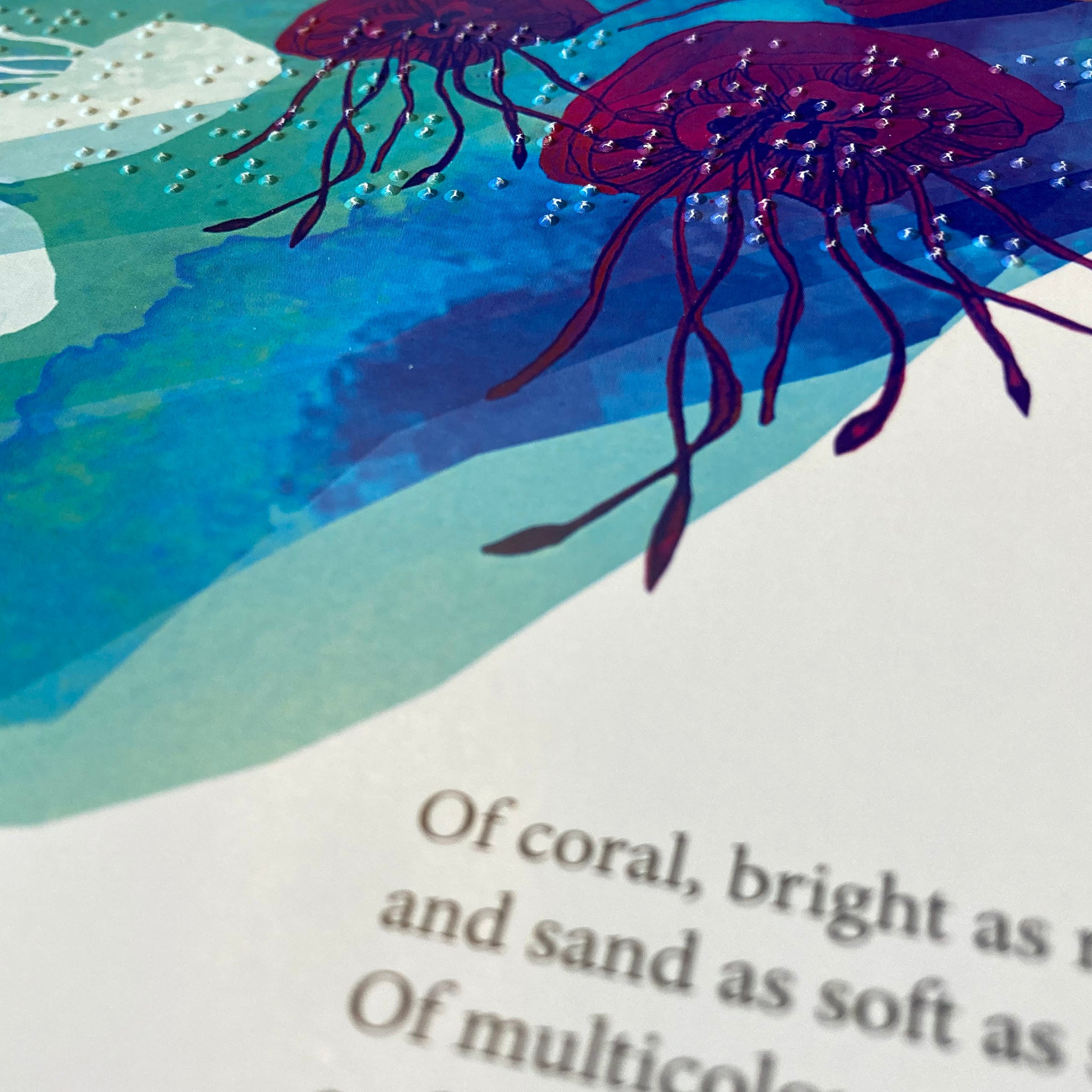 A page from Little turtle turns the tide shared reading book. The page shows black text on a white background and braille embossed above it. There is also a drawing of a group of jellyfish in the sea.