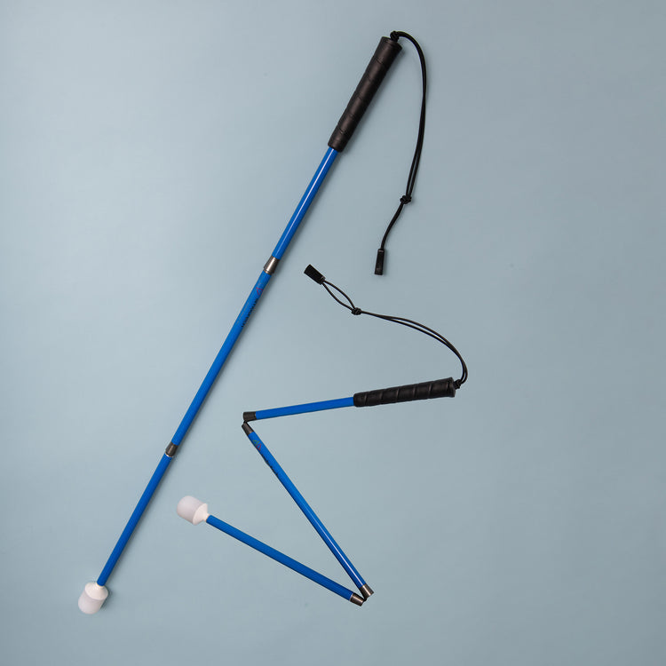 Children's cane - blue