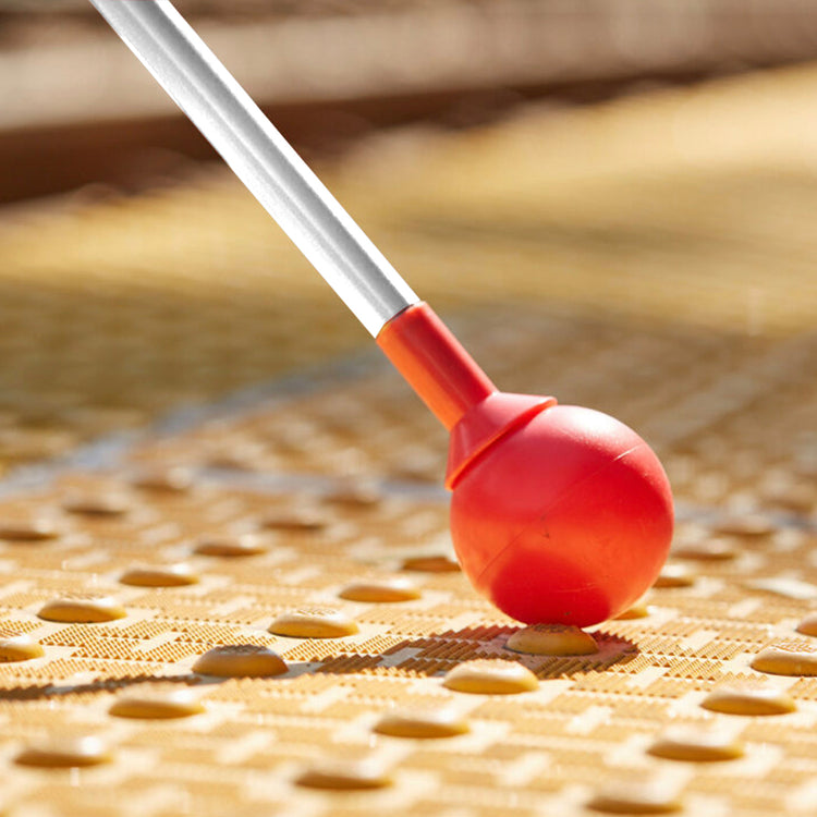 Alternative view of All Terrain Cane