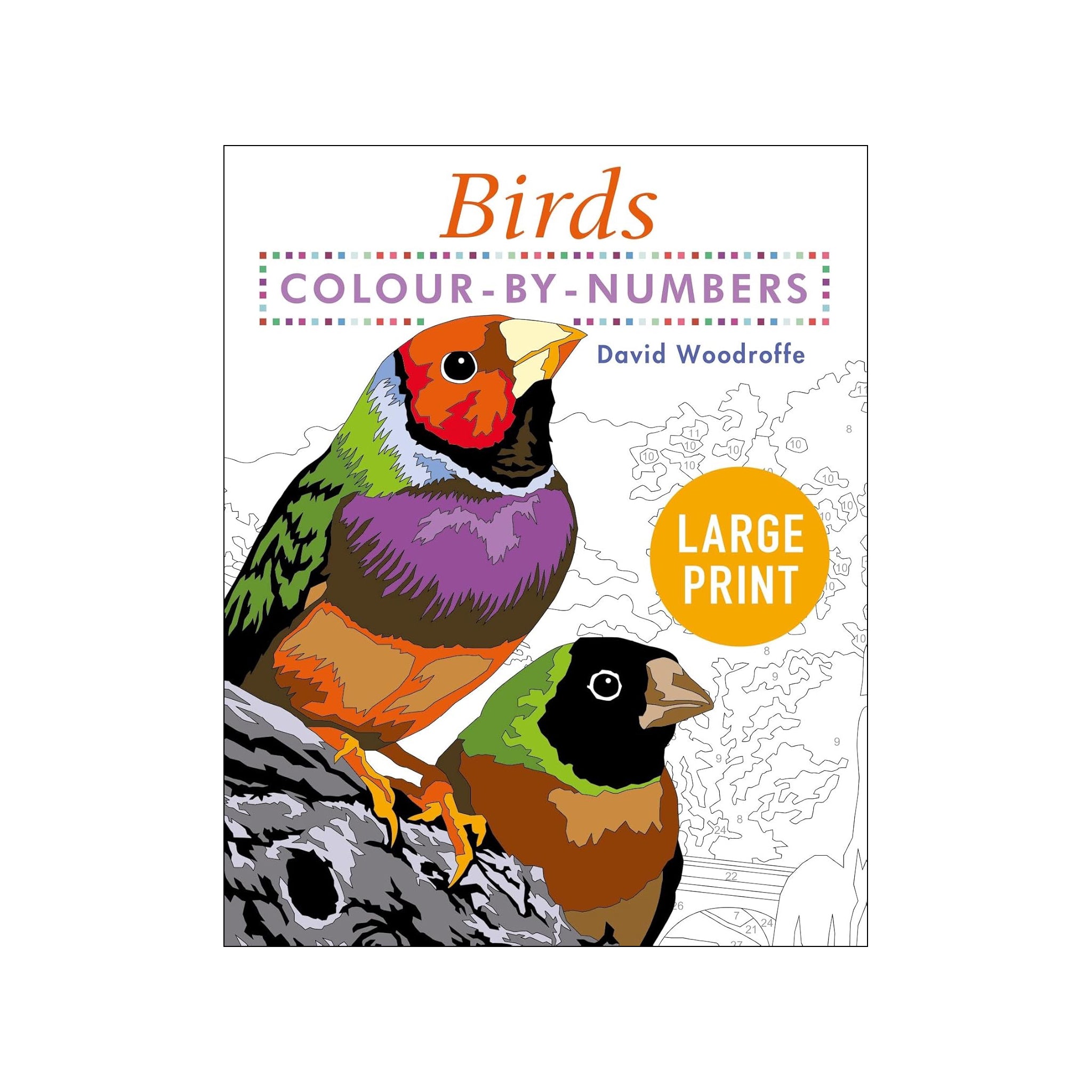 Front cover of Large Print colour by numbers Birds