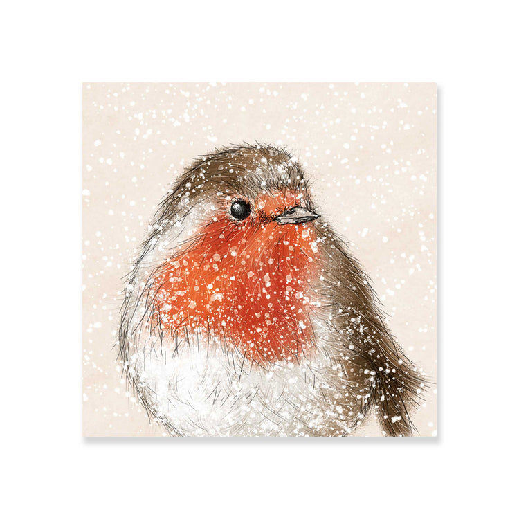 Snowy Robin charity Christmas card (pack of 10)