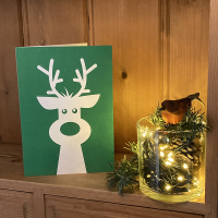 Inclusive reindeer Christmas card on a shelf with Christmas decorations