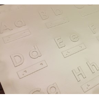 Raised print characters and braille