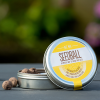 Seedball bee tin open in a garden setting