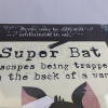 Bertie the very blind bat page showing print and braille