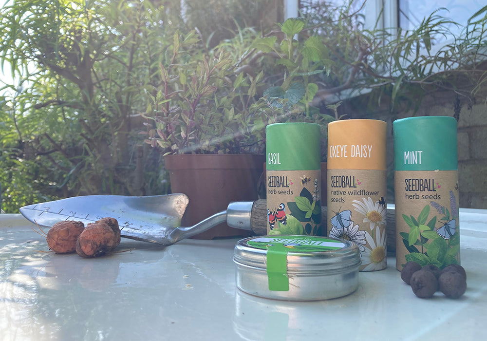 Seedball tubes and a seedball tin with potted herbs, a trowel and some corms on a potting table in spring sunlight