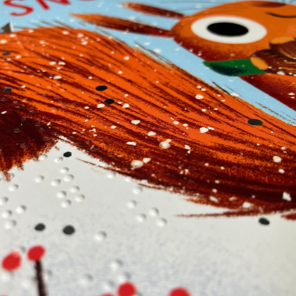 Close-up of braille on cover of The Snow Thief