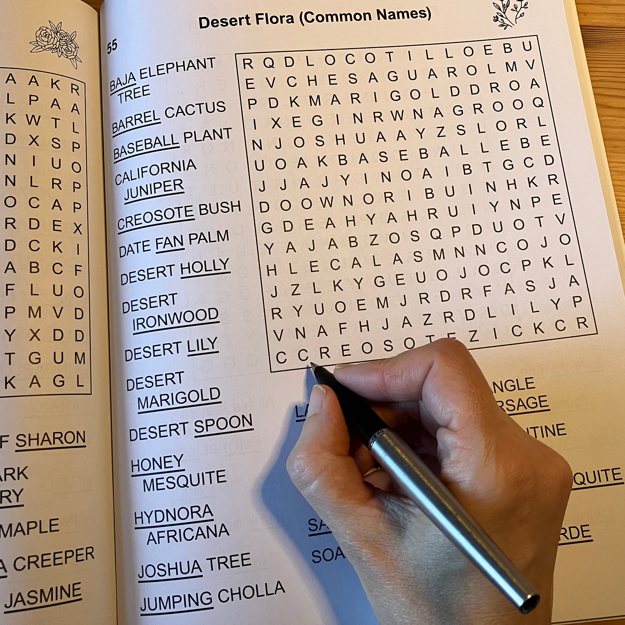 Hand holding a pen over a book with a word search puzzle on desert flora.