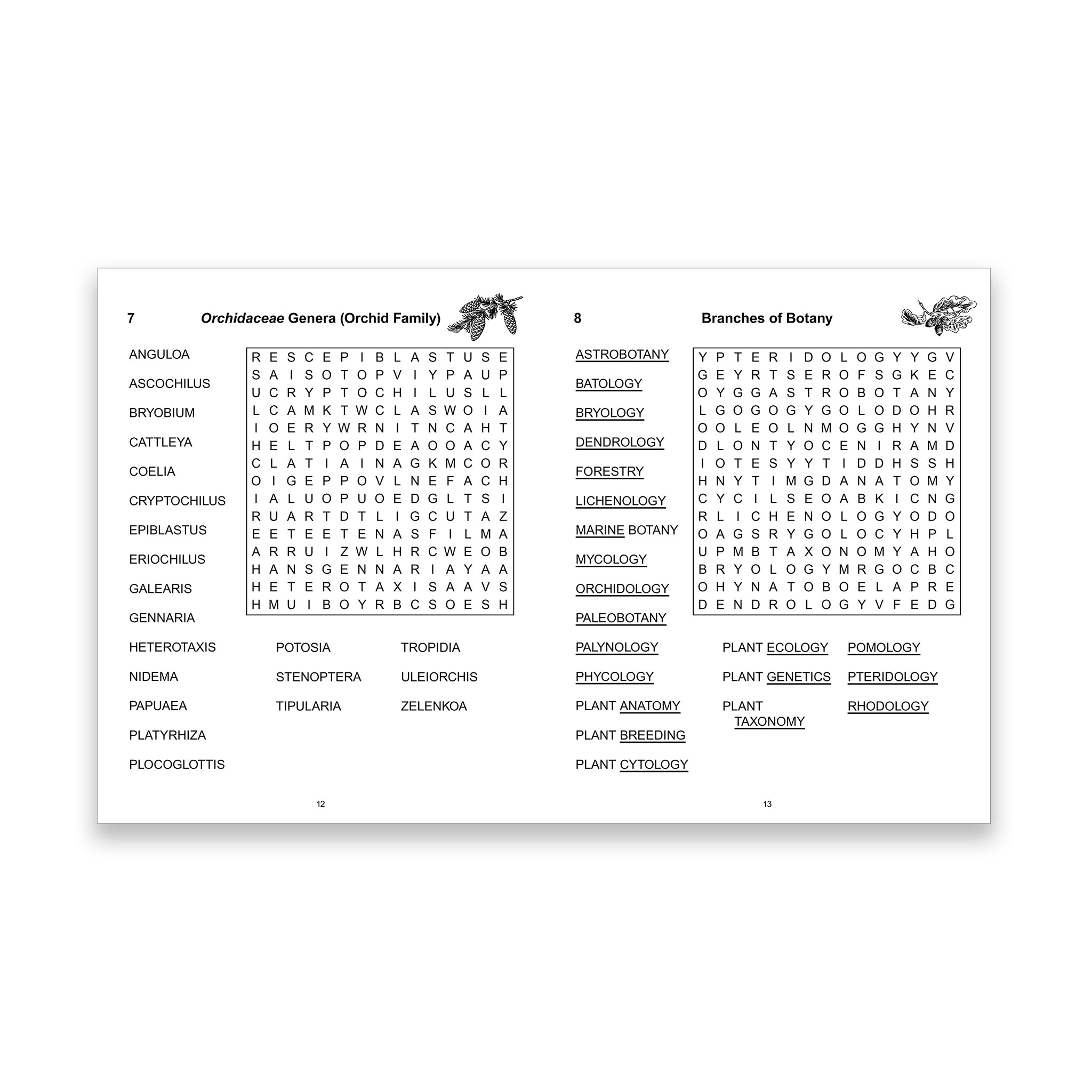Two pages with a crossword on each page.
