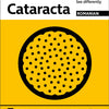 Understanding Cataracts (Alternative Languages)