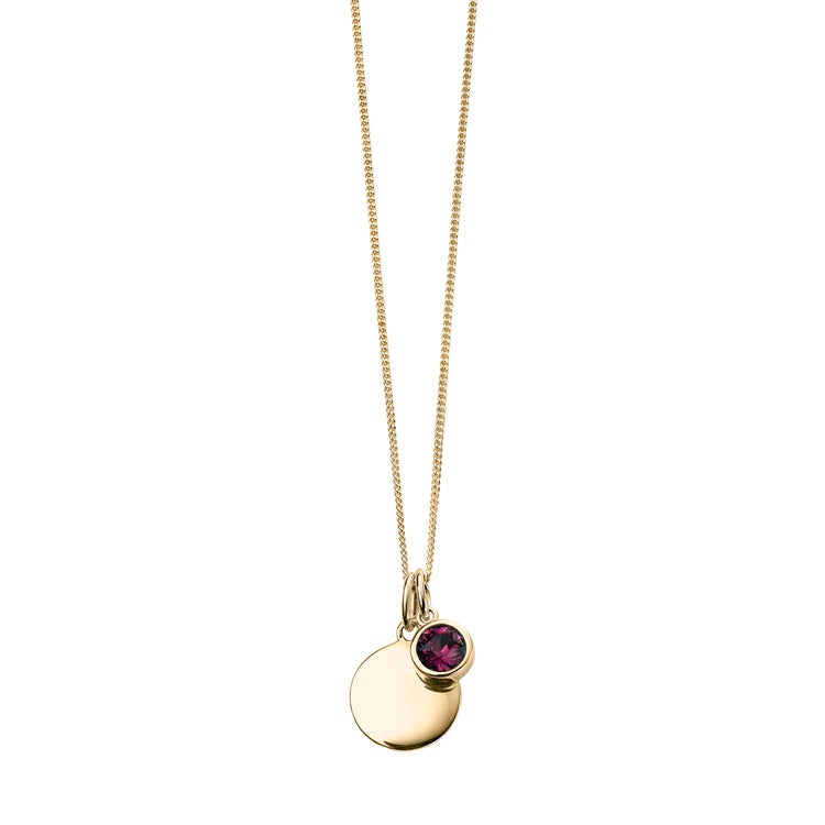 Alternative view of Gold necklace with crystal birthstone with gift box
