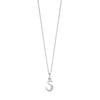 Silver chain with a silver cubic zirconia pendant with the initial S.