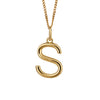 Gold chain with a gold pendant with the initial S.