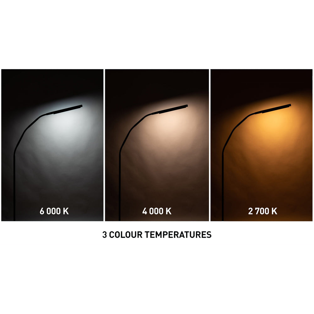 Image demonstrating the three colour temperatures of the light