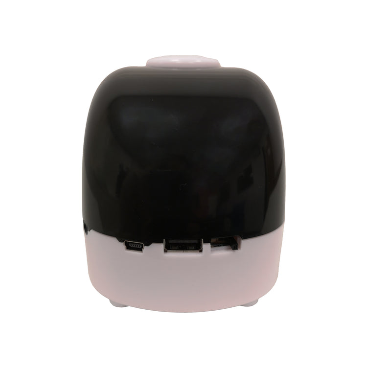 Alternative view of RNIB Communiplayer USB player