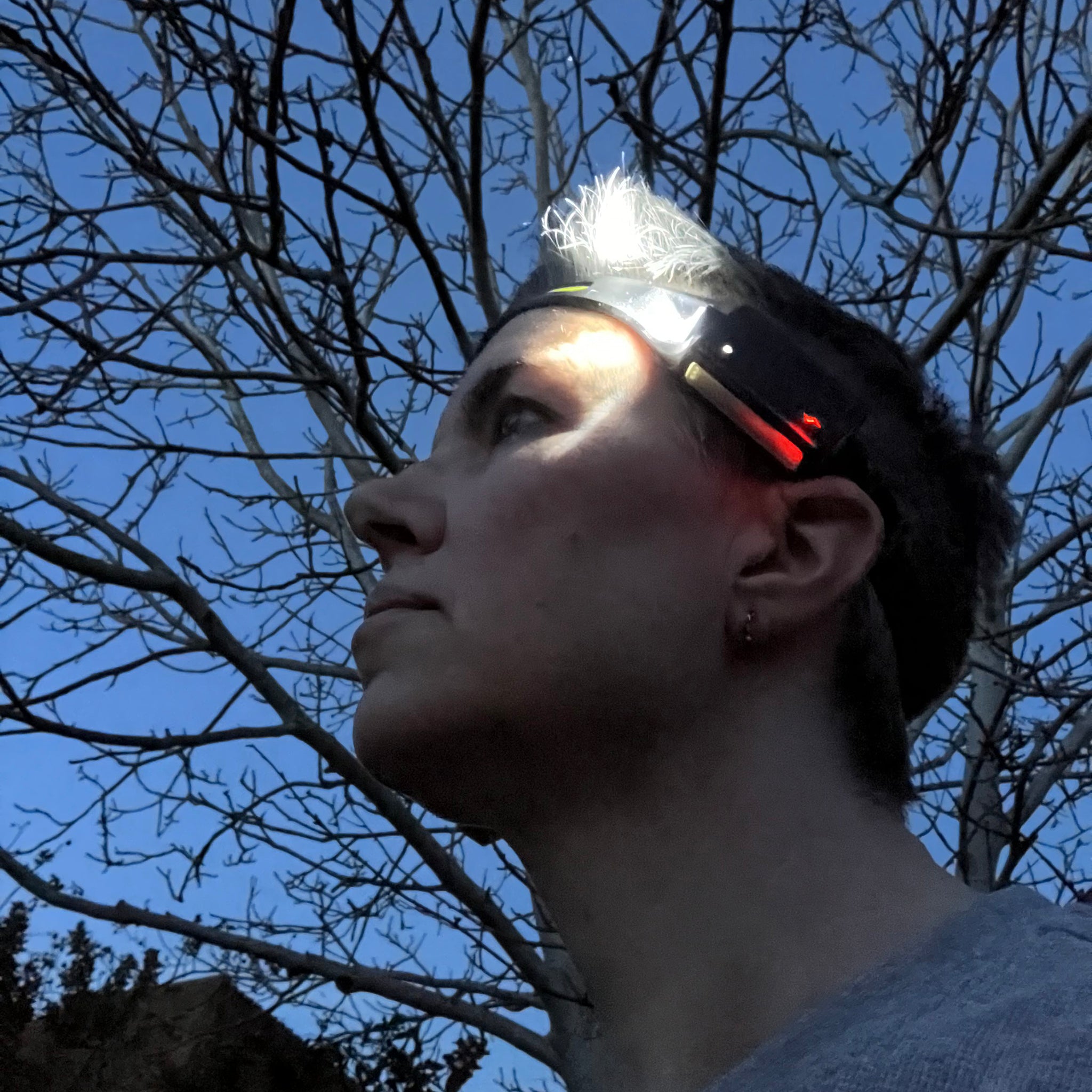Side view of a person wearing the head torch in the dusk under a winterbare tree. The focus beam is lit and the small red power light is also lit