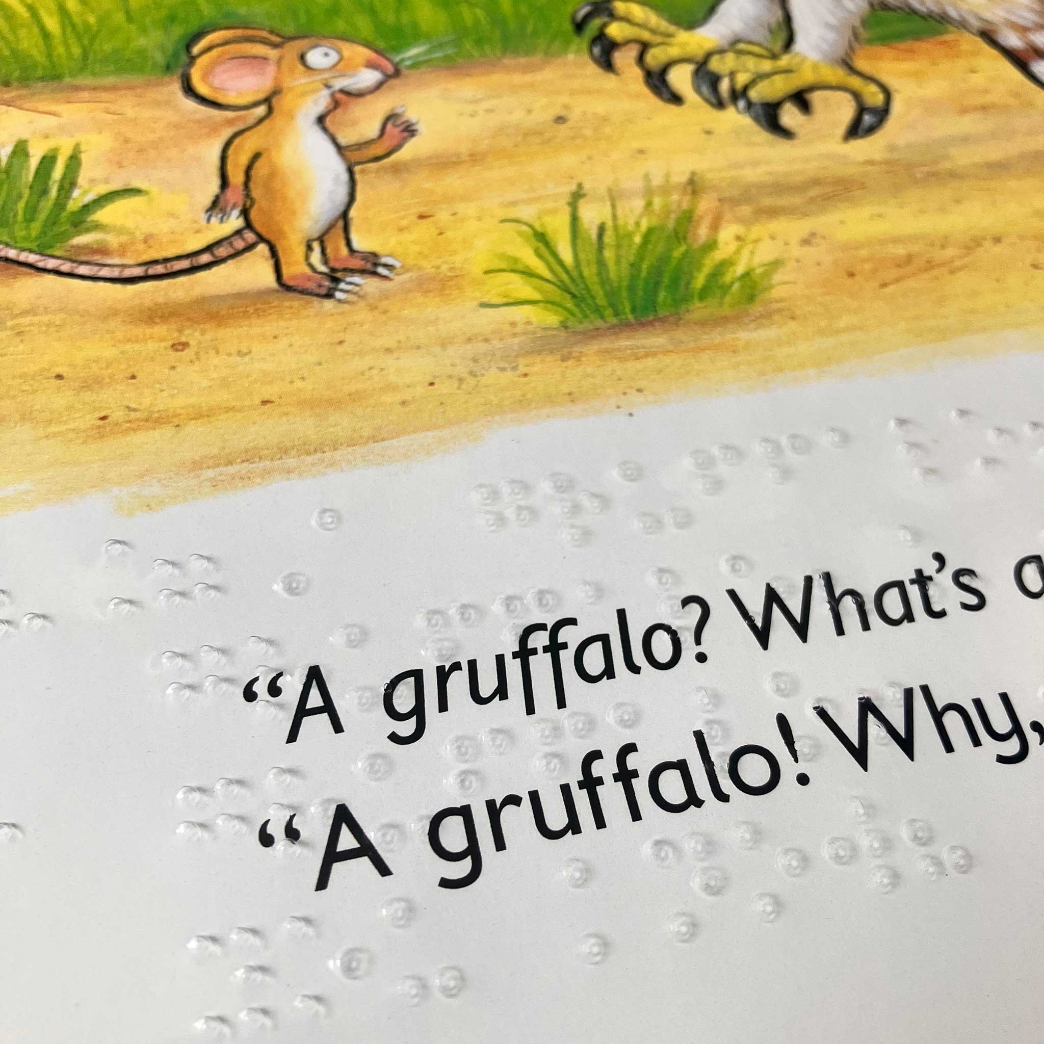 Page of The Gruffalo showing illustration of the mouse meeting the owl along with the print, all overlaid with a clear brailled sheet