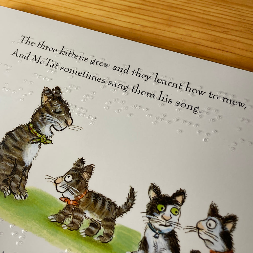 Close up of clear braille overlay and text and illustrations underneath