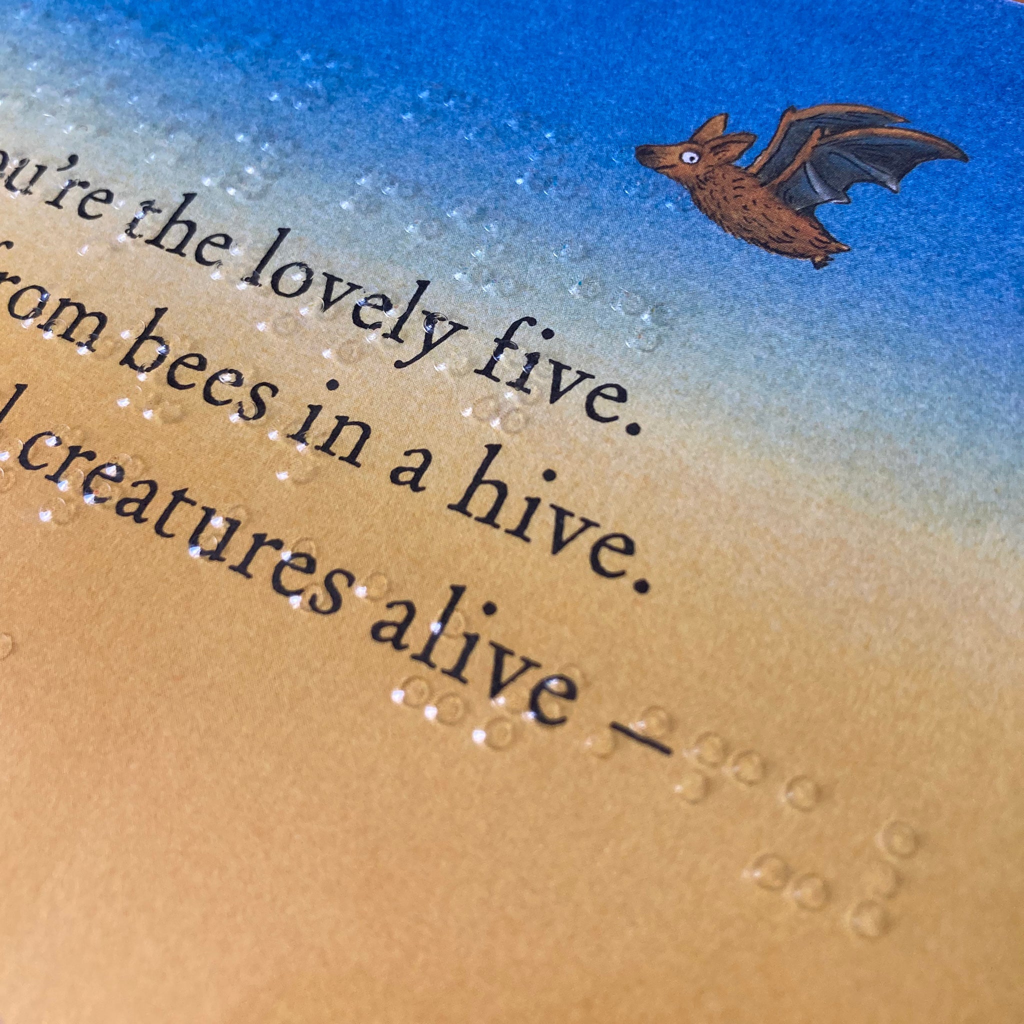 Book page with text and braille with a bat illustration.