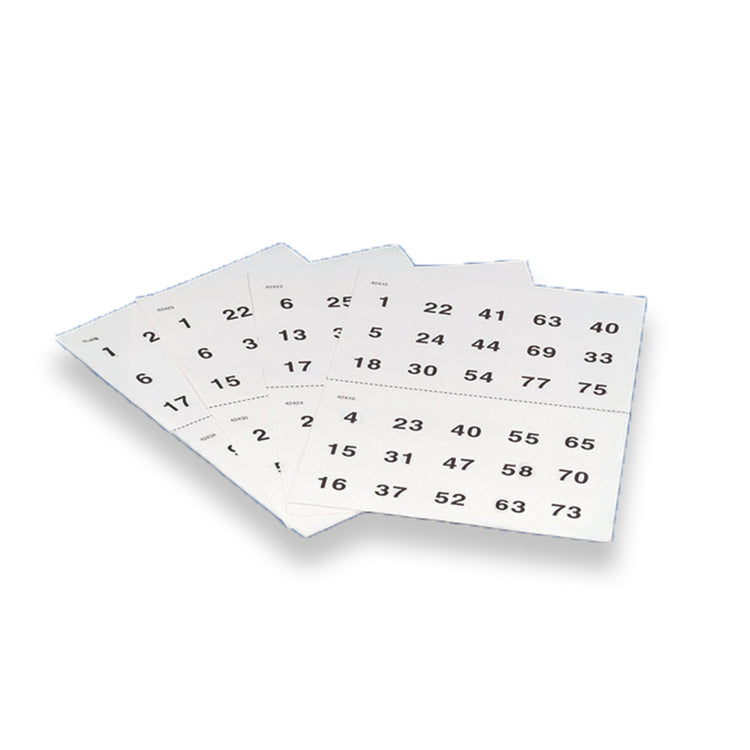 Large print Bingo sheets