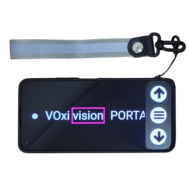 VoxiVision