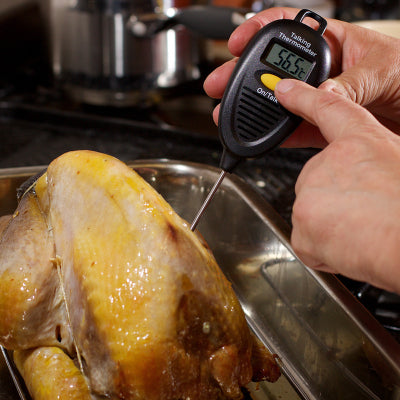 Alternative view of Talking food thermometer