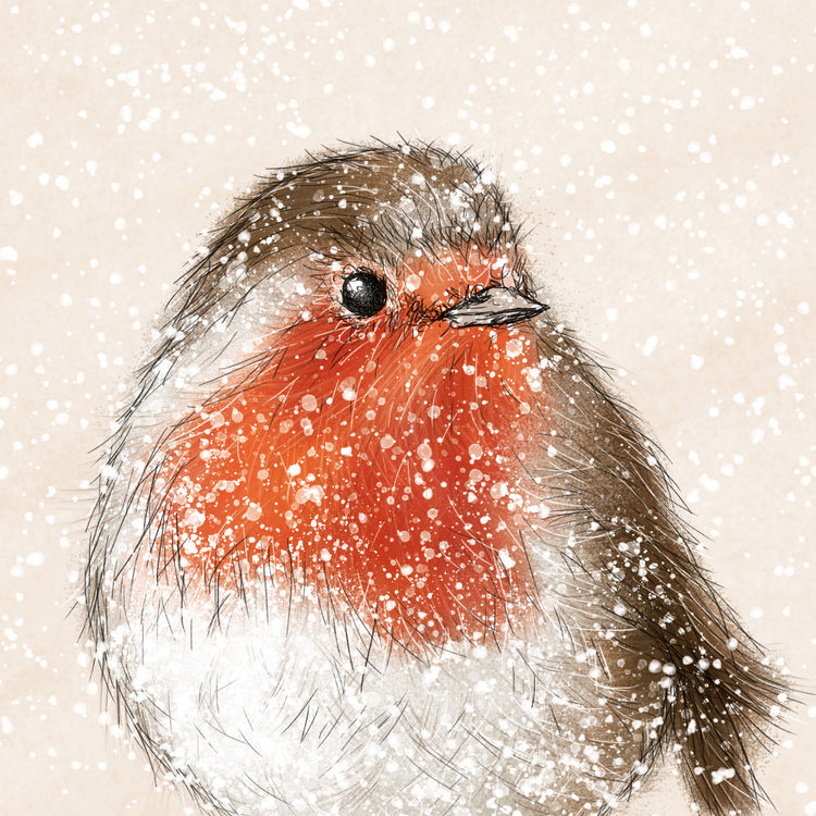 Snowy Robin charity Christmas card (pack of 10)