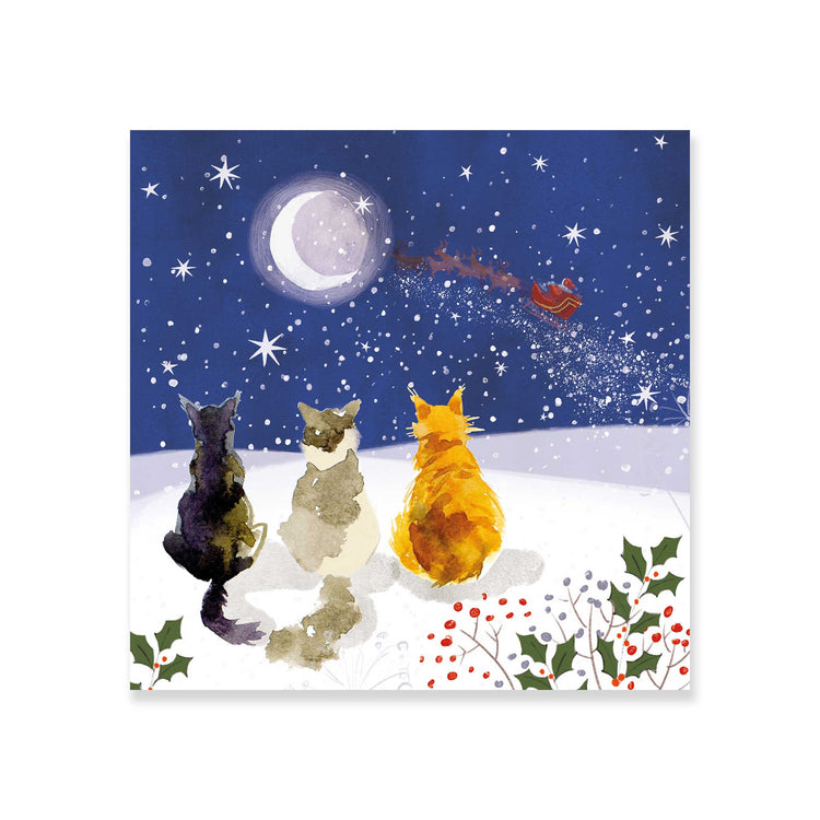 Cats waiting for Santa charity Christmas card (pack of 10)