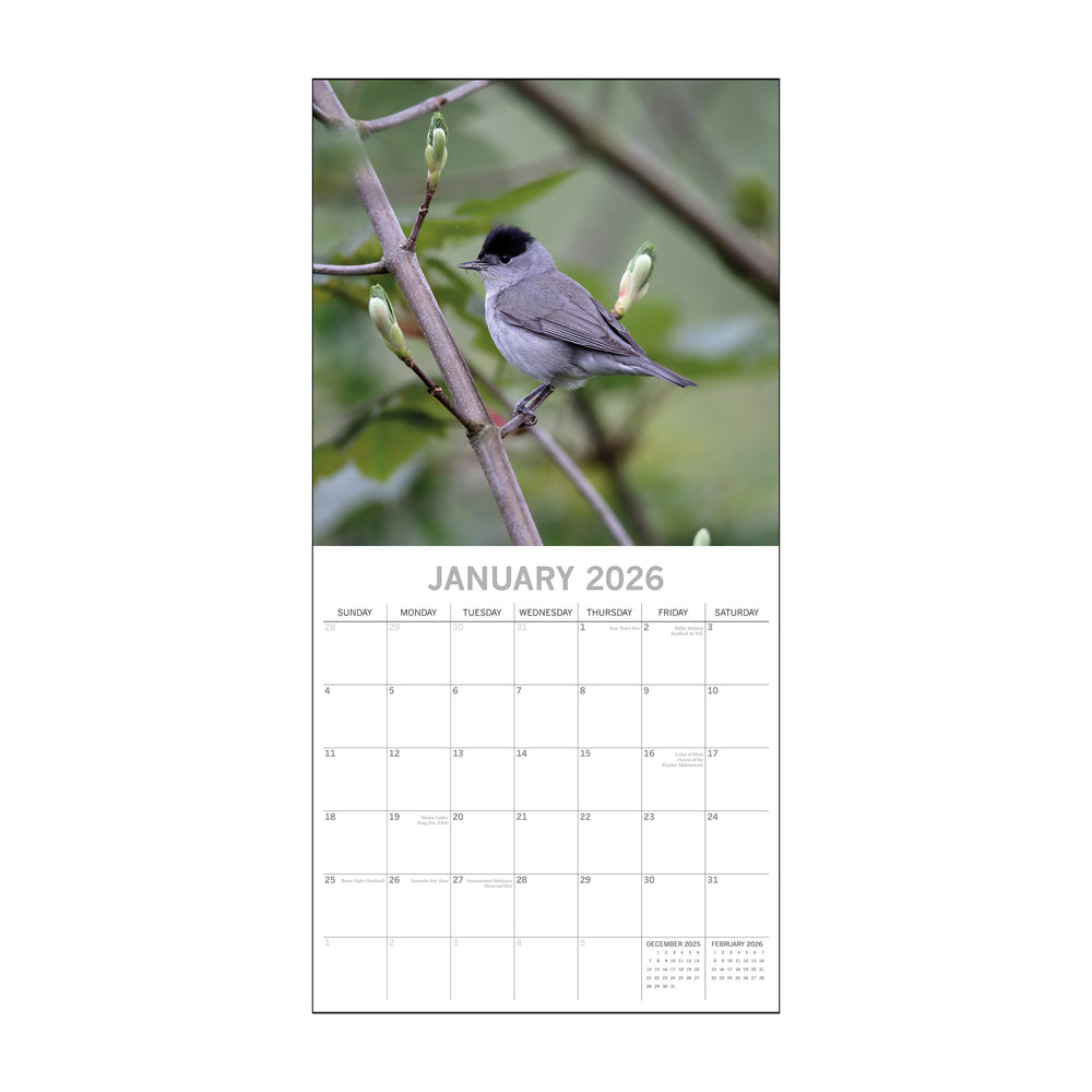 Calendar page for January 2026 with a bird on a branch