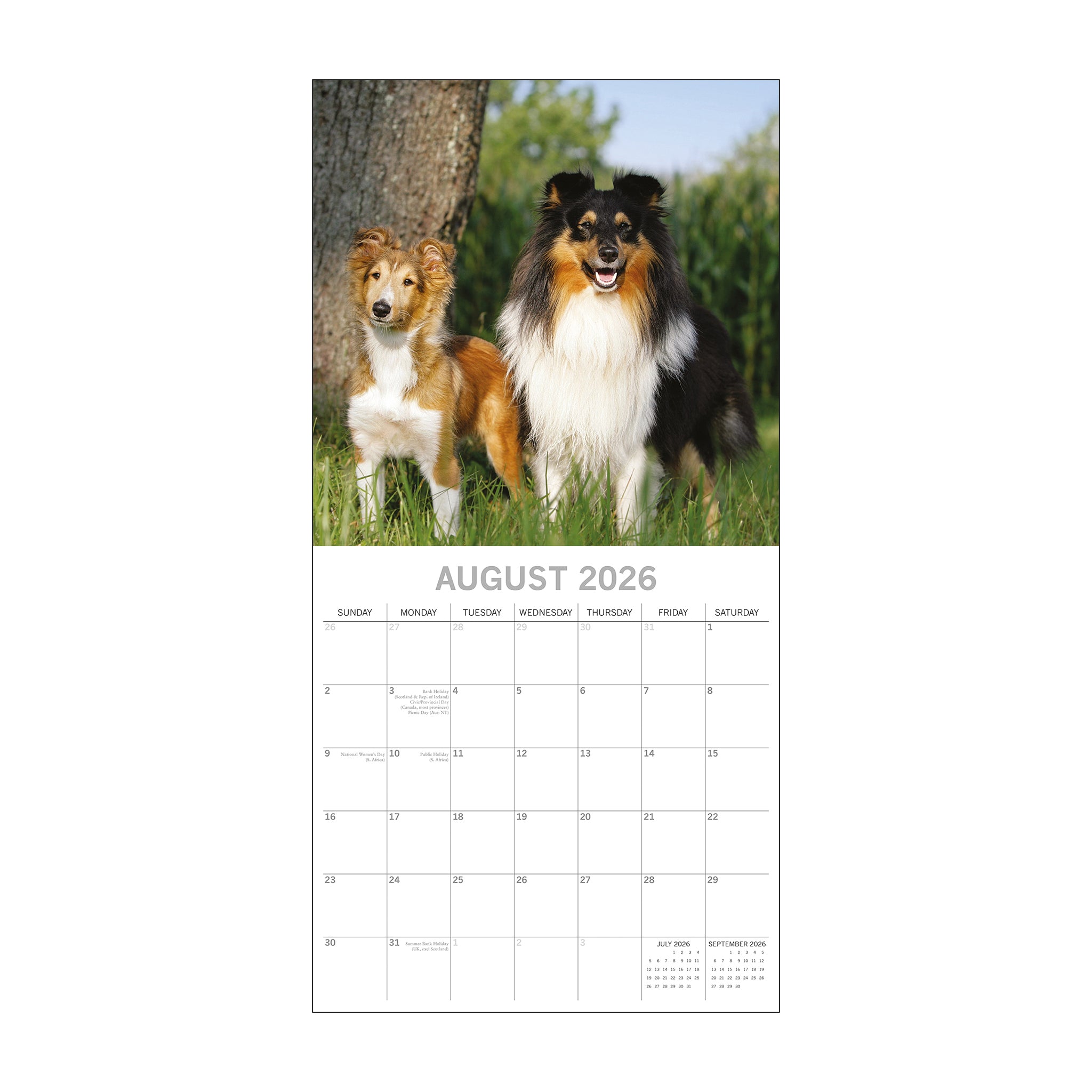 Calendar page for August 2026 featuring two dogs in a natural setting.