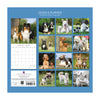 Back of calendar featuring images of dogs and puppies with a blue border.