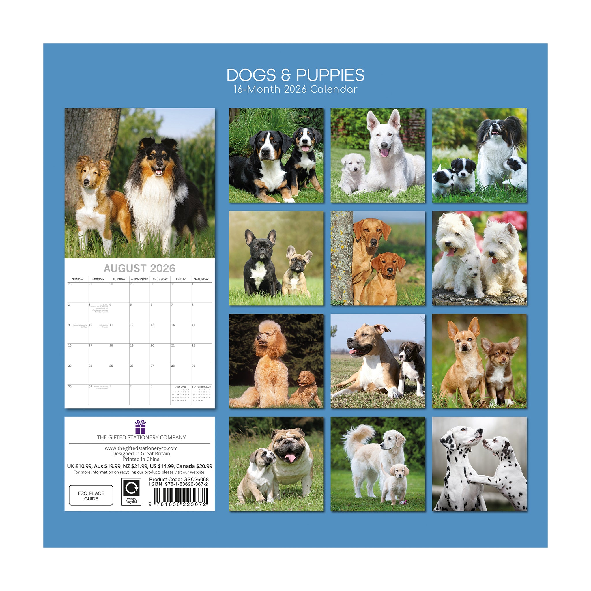 Back of calendar featuring images of dogs and puppies with a blue border.