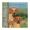 Calendar cover featuring two dogs behind a tree with 'DOGS & PUPPIES 2026 Calendar' text.