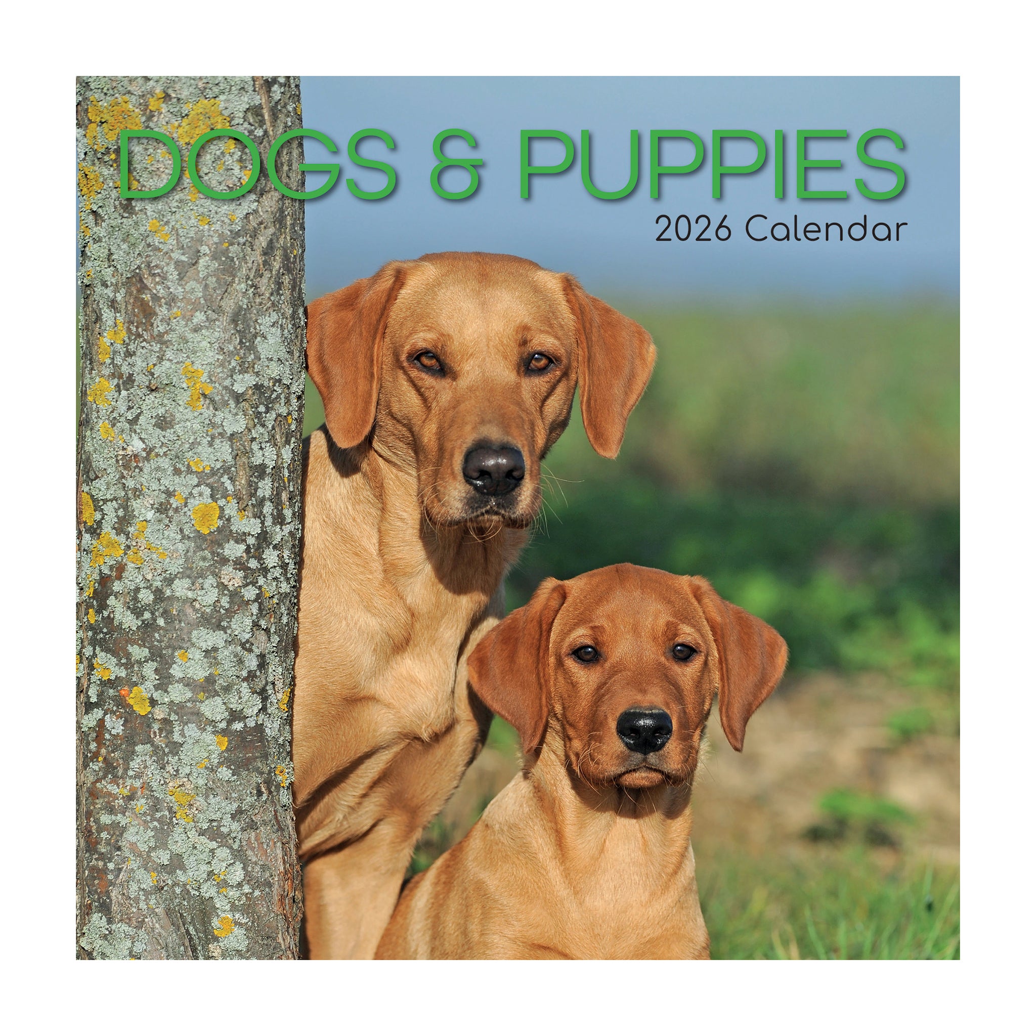 Calendar cover featuring two dogs behind a tree with 'DOGS & PUPPIES 2026 Calendar' text.