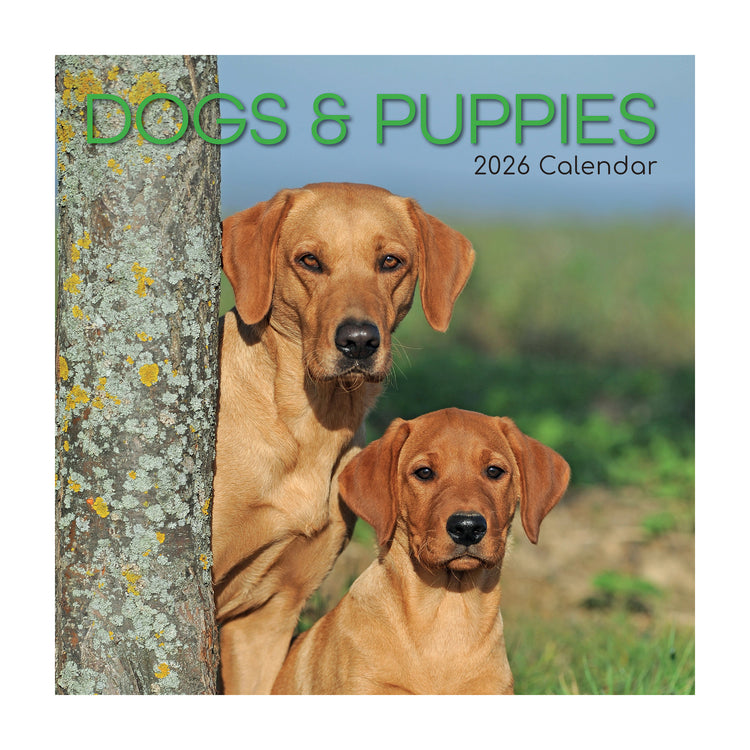 2026 Square Wall Calendar Dogs & Puppies