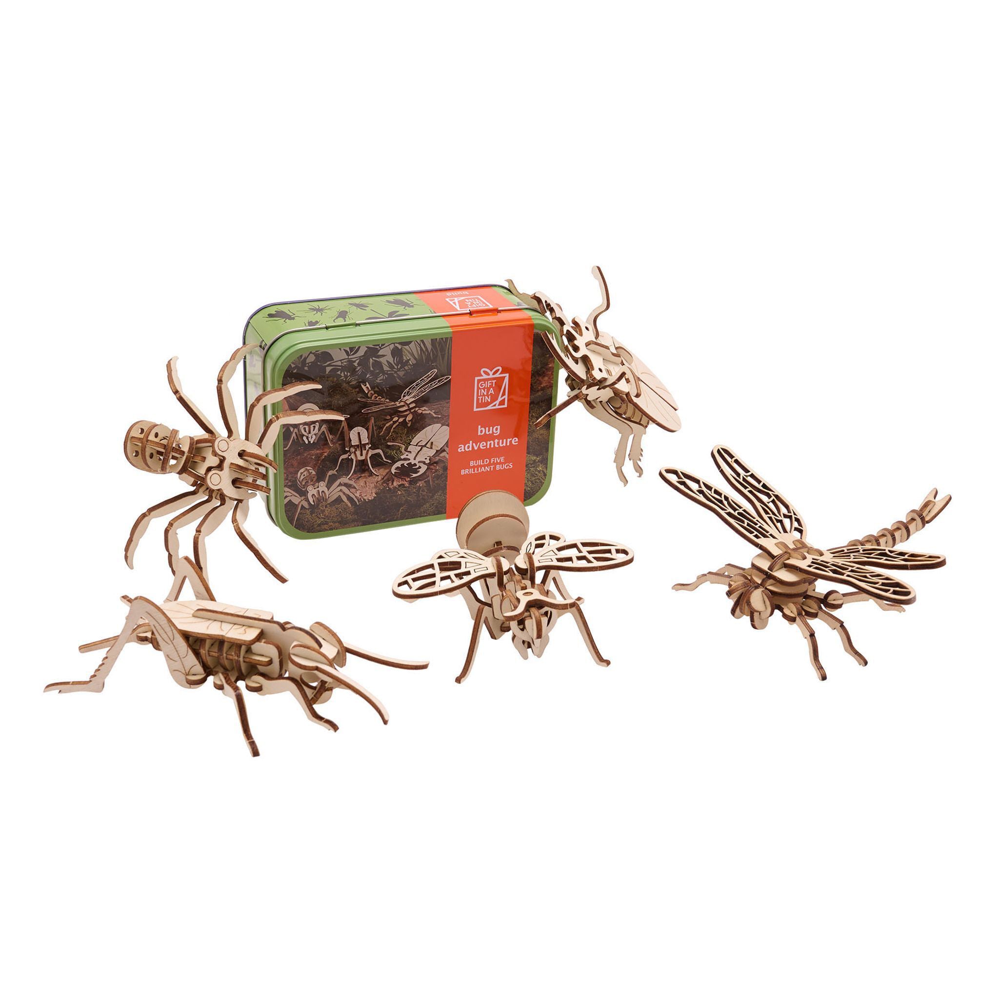 Wooden insect models with a tin box on a white background