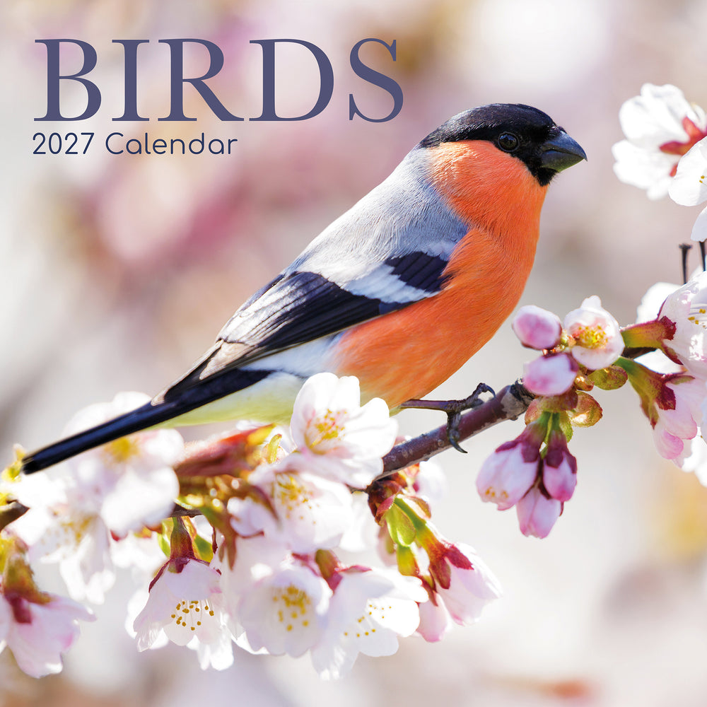 Birds 2027 calendar with a bird on a branch with flowers
