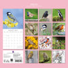 Birds calendar with various bird images on a pink background