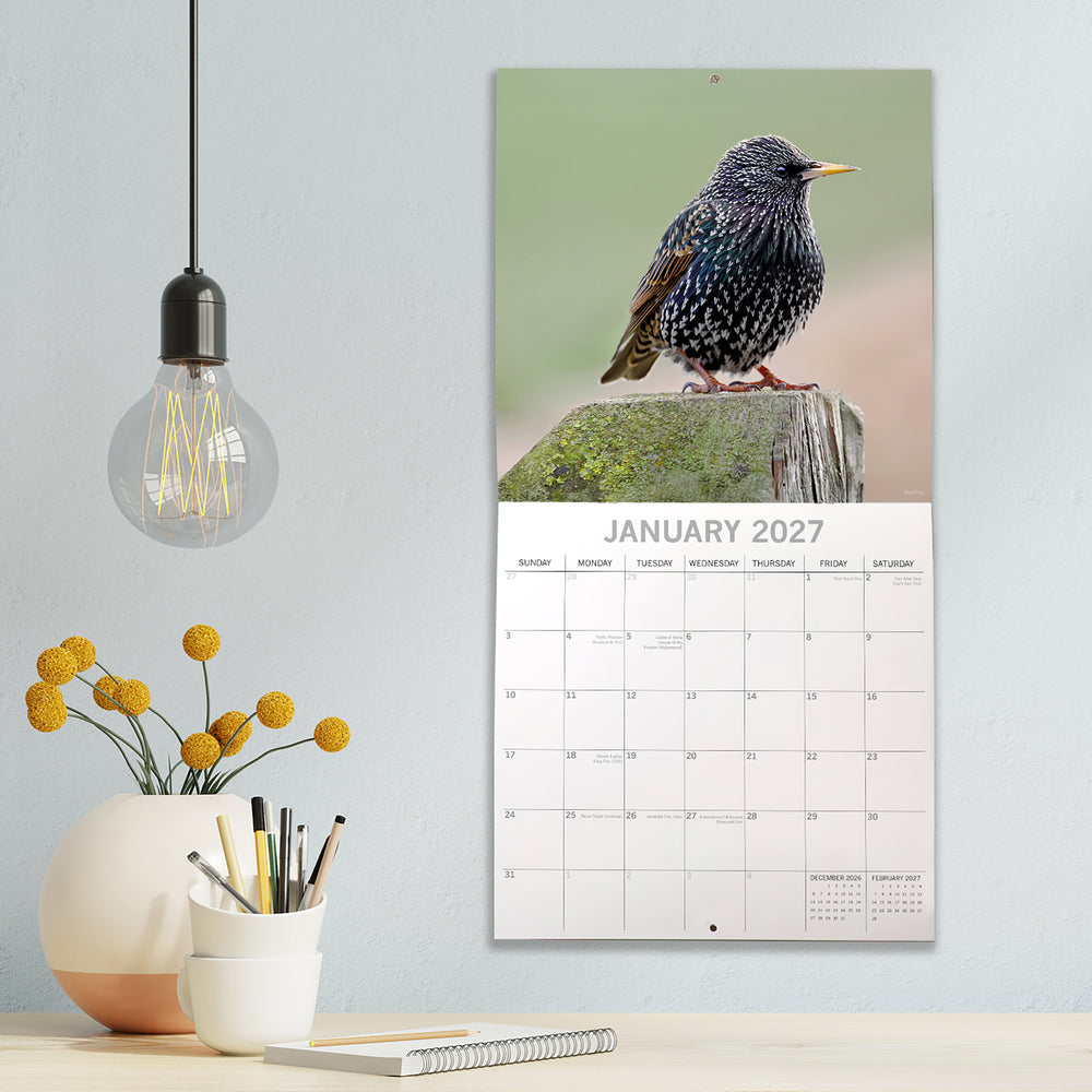 Calendar with a bird design for January 2027 on a wall above a desk with a light bulb and flowers.