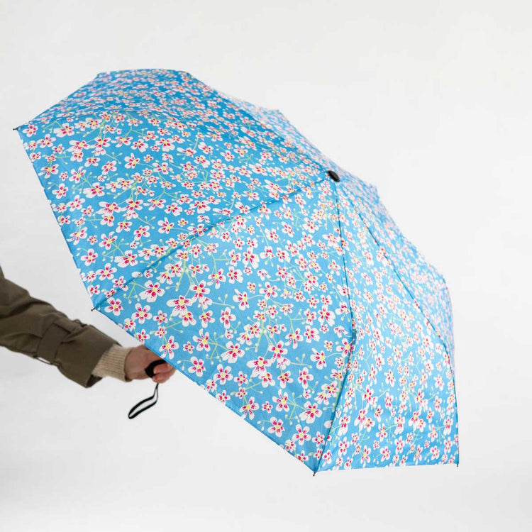 Alternative view of V&A umbrella – Emily Burningham Saxifrage