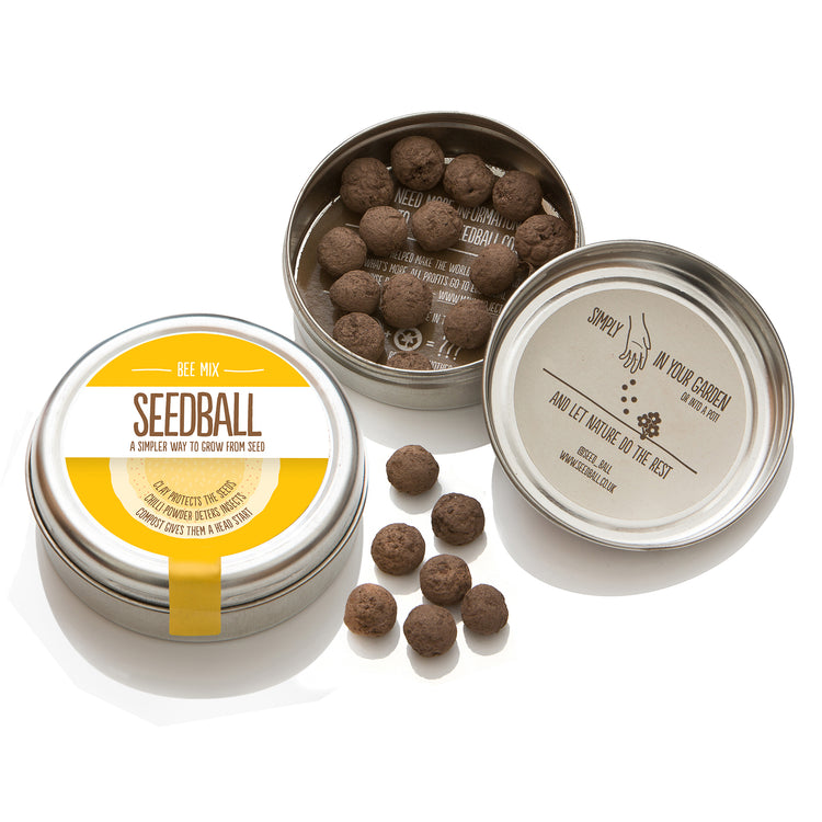 Seedball bee tin