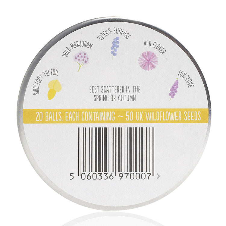 Alternative view of Seedball bee tin