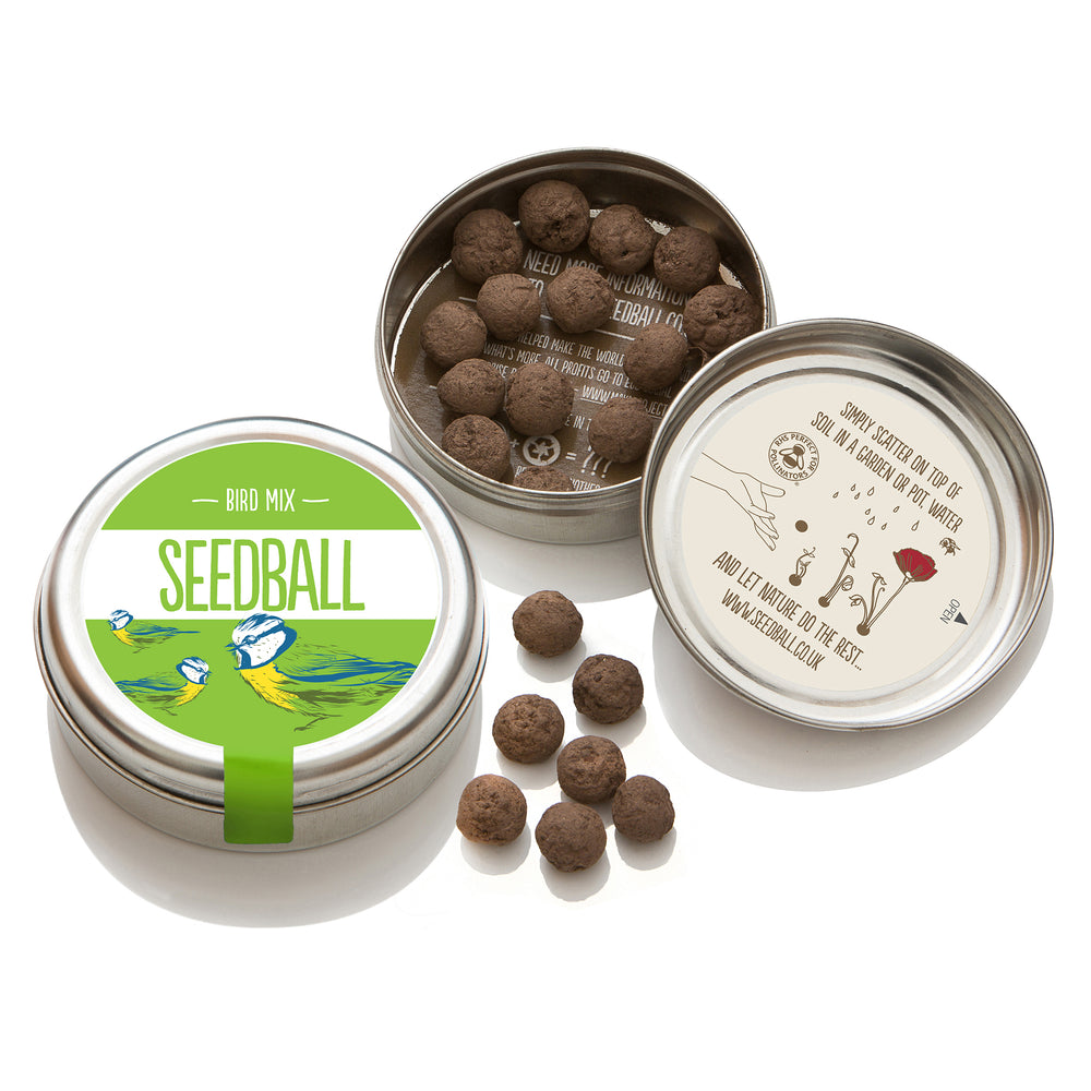Seedball bird tin open showing seedballs.