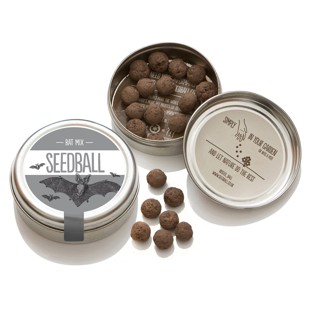 Seedball bat tin open showing seedballs.