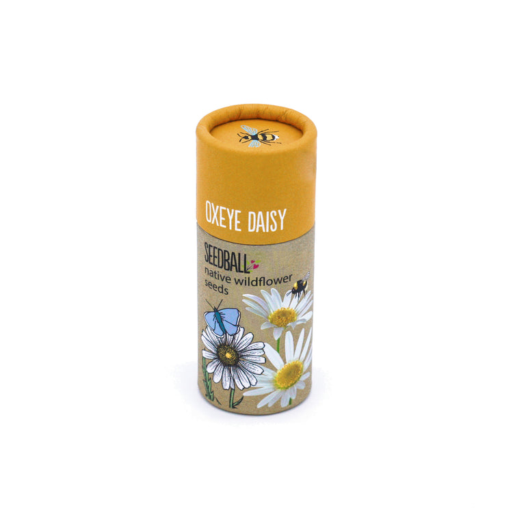 Seedball oxeye daisy tube